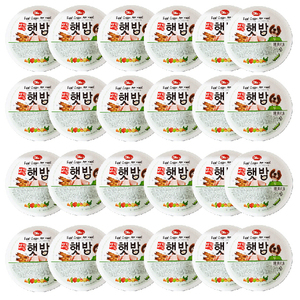 애견비책 햇밥 치킨 캔 사료 120g × 24개