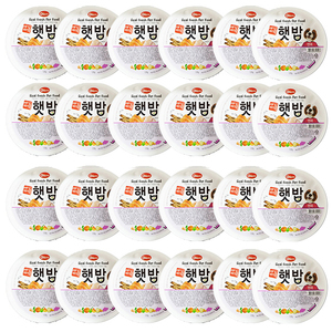 애견비책 햇밥 연어 캔 사료 120g × 24개